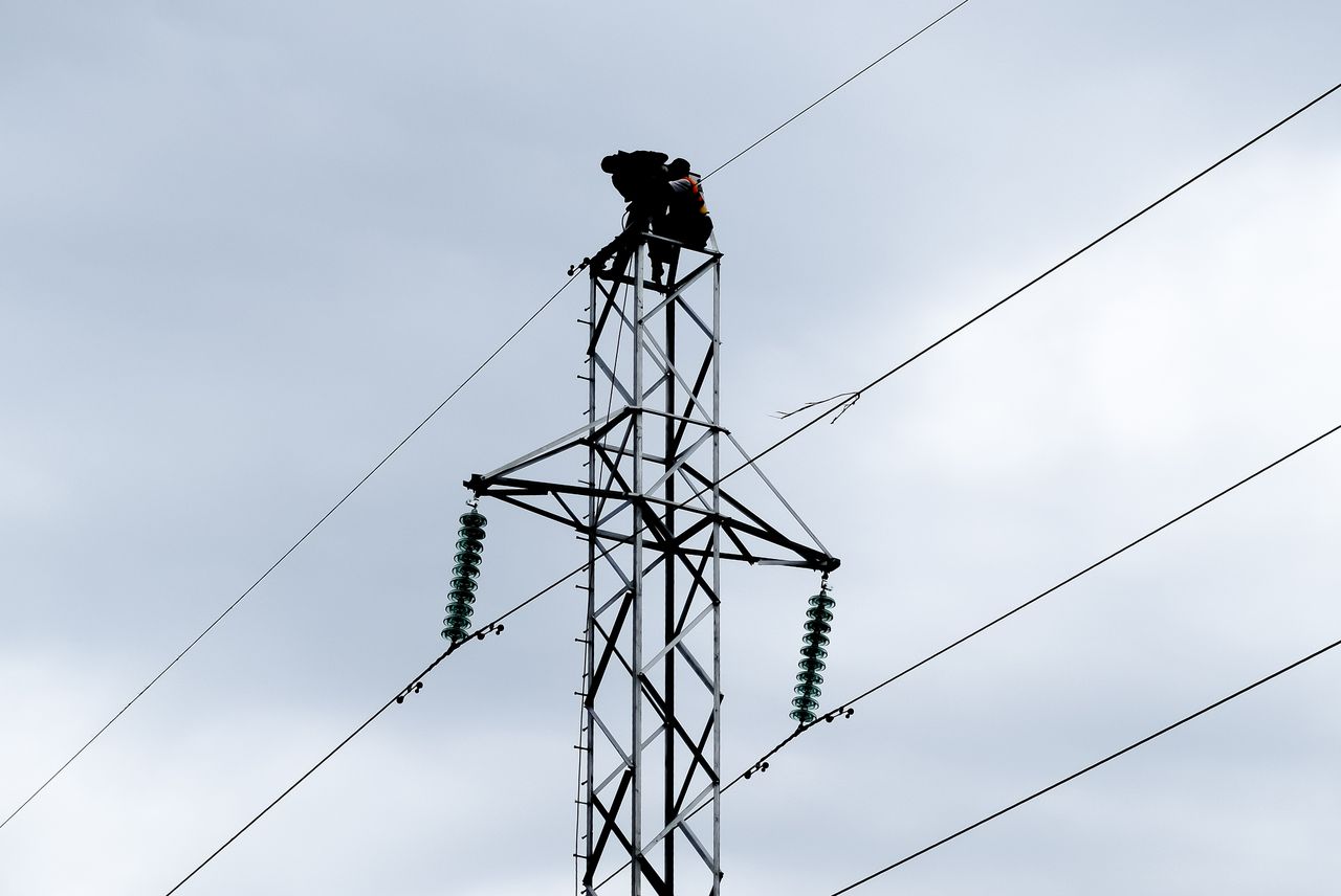 Méthodologie et indicateurs clés pour diagnostiquer les entreprises territoriales et transformer diagnostics en actions opérationnelles concrètes.