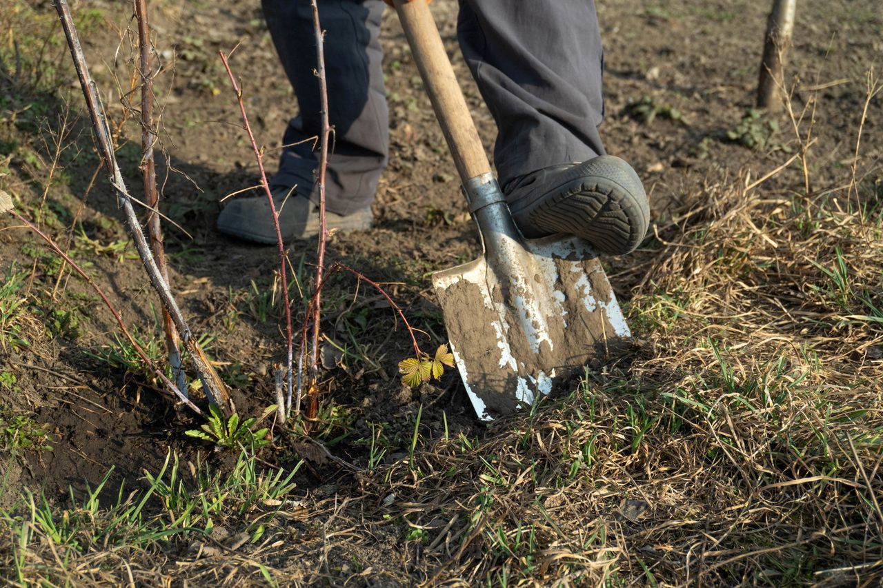 TNFD : évaluer risques naturels et dépendances à la biodiversité pour anticiper impacts sur activités d’entreprise.